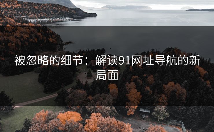 被忽略的细节：解读91网址导航的新局面