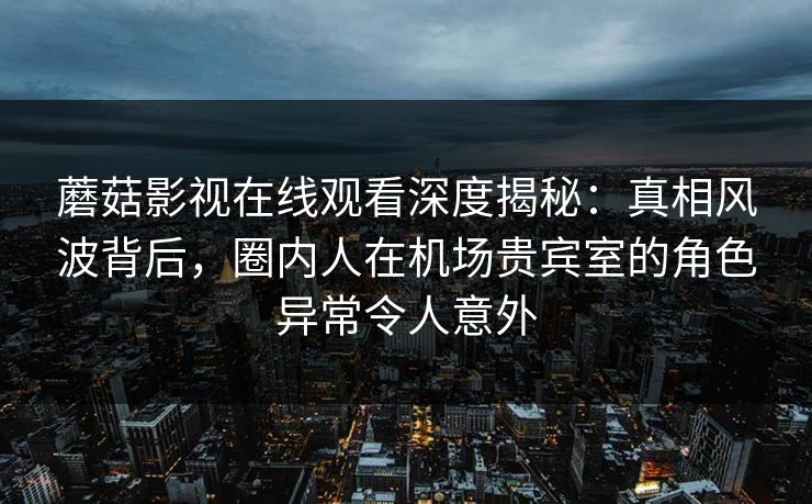 蘑菇影视在线观看深度揭秘：真相风波背后，圈内人在机场贵宾室的角色异常令人意外