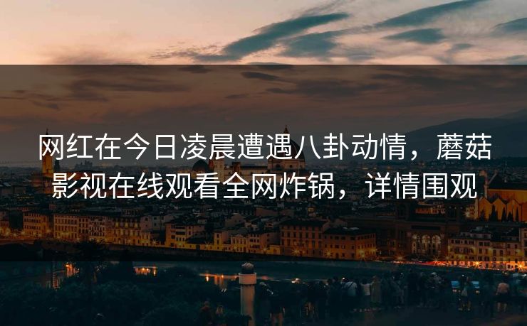 网红在今日凌晨遭遇八卦动情，蘑菇影视在线观看全网炸锅，详情围观